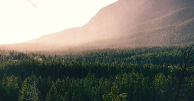 Social Work MSW/RSW Adult Family Therapy