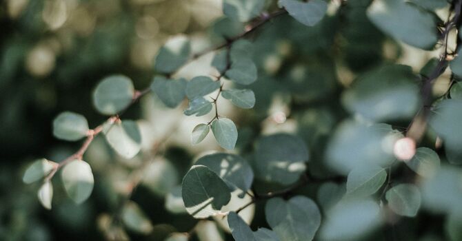 Social Work MSW/RSW Individual