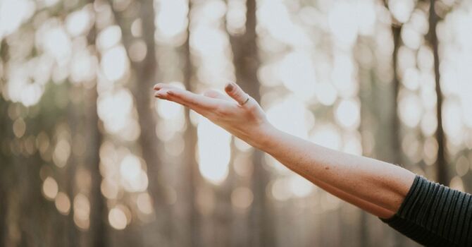 Psychotherapy individual