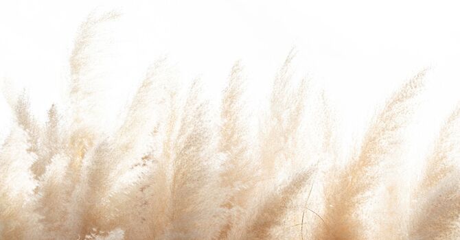 Social Work MSW/RSW Individual