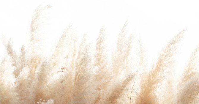 Social Work MSW/RSW Individual