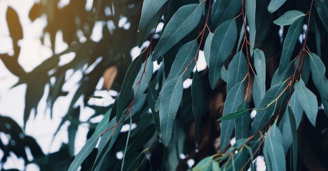 Psychotherapy individual